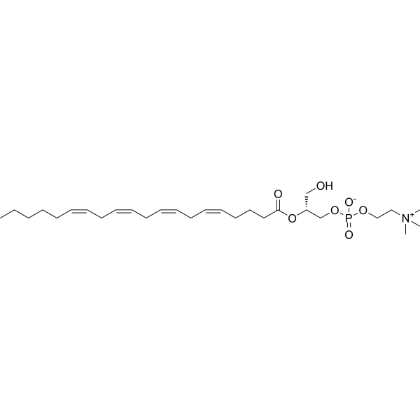 2-Arachidonoyl-sn-glycero-3-phosphocholine 67341-29-1